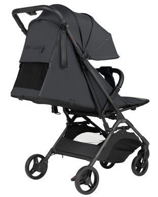 Прогулянкова коляска CARRELLO Solo CRL-5531 Forest Black &mdash; купити в Bubbleshop