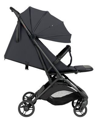 Прогулянкова коляска CARRELLO Solo CRL-5531 Forest Black &mdash; купити в Bubbleshop