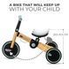 Триколісний велосипед 3 в 1 Kinderkraft 4TRIKE Sunflower Blue (KR4TRI22BLU0000)