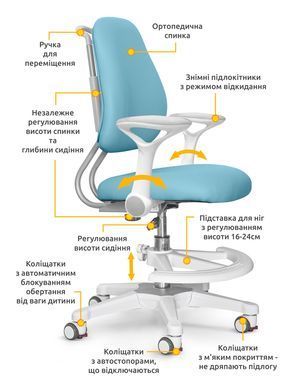 Дитяче крісло ErgoKids Mio Ergo Blue &mdash; купити в Bubbleshop