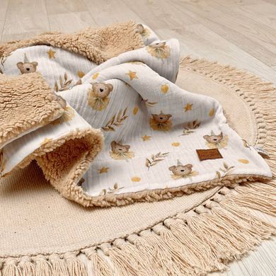 Плед муслін на хутрі Teddy Ведмедики в ковпачках &mdash; купити в Bubbleshop