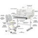 Комплект парта і стілець Evo-Kids BD-29 G Panda XL