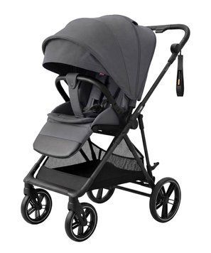 Прогулянкова коляска CARRELLO Extra CRL-6532 Chrome Grey &mdash; купити в Bubbleshop