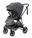 Прогулянкова коляска CARRELLO Extra CRL-6532 Chrome Grey &mdash; купити в Bubbleshop
