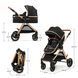 Універсальна коляска 2 в 1 Kinderkraft Esme Black (KSESME00BLK2000)