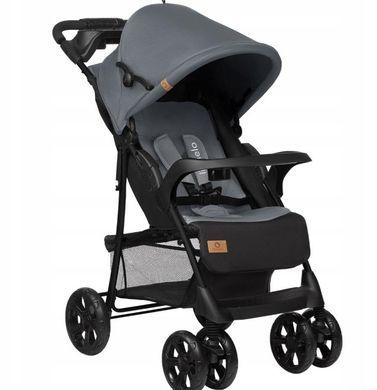 Прогулянкова коляска Lionelo EMMA PLUS GREY DOVE &mdash; купити в Bubbleshop