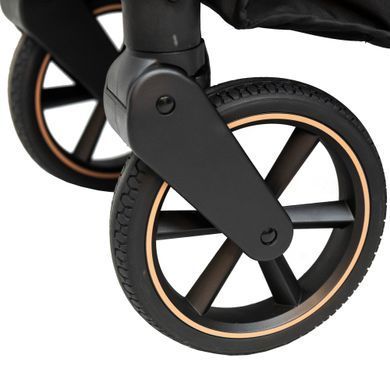 Прогулянкова коляска Espiro Flame 10 Timeless Black &mdash; купити в Bubbleshop
