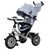 Велосипед триколісний TILLY Camaro T-362-2 Grey T-362/2 фото