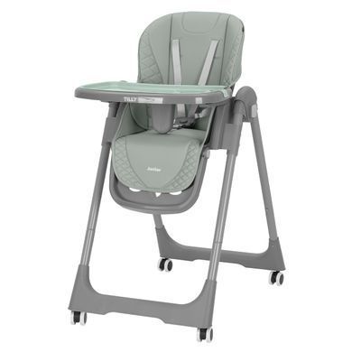 Стілець для годування CARRELLO Junior CRL-1412 Dark Green &mdash; купити в Bubbleshop