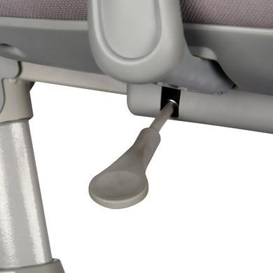 Дитяче ортопедичне крісло FunDesk Leone Grey &mdash; купити в Bubbleshop