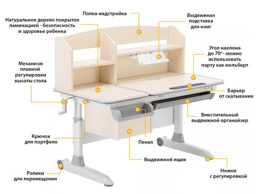 Детский стол-трансформер ErgoKids Romana Multicolor столешница клен/накладки на ножках серые Evo-70 MG/MC фото