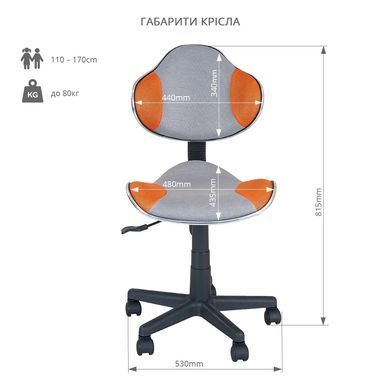 Парта-трансформер Fundesk Fiore II Grey + дитячий стілець FunDesk LST3 Orange &mdash; купити в Bubbleshop