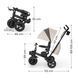 Триколісний велосипед Kinderkraft Spinstep 2 Plus Beige (KRSPST02BEGPL00)