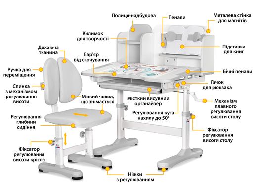 Комплект парта і стілець Evo-Kids BD-28 Panda Grey  BD-28 G фото