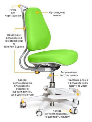 Дитяче крісло ErgoKids Mio Ergo Y-507 Lite Green &mdash; купити в Bubbleshop