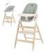 Стілець для годування CARRELLO Ergo CRL-16701 Elora Green