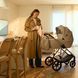 Електричний молоковідсмоктувач Kinderkraft MamaFlow Gold (KEMAFL00GLD0000)