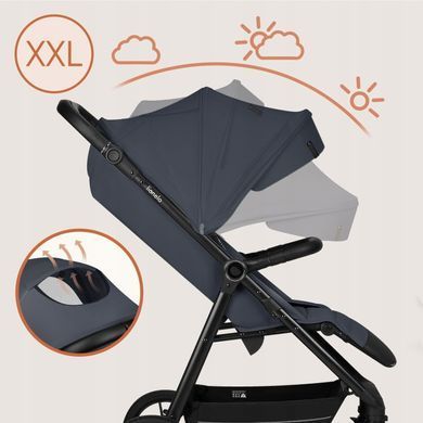 Прогулянкова коляска Lionelo IVA GREY GRAPHITE — купити в Bubbleshop