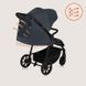 Прогулянкова коляска Lionelo IVA GREY GRAPHITE