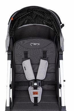 Коляска прогулянкова MoMi ESTELLE LIGHT Gray-Silver &mdash; купити в Bubbleshop