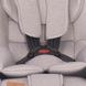 Автокресло Lorelli Nebula Isofix 0-36 kg Pink