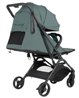 Прогулянкова коляска CARRELLO Solo CRL-5531 Malachite Green &mdash; купити в Bubbleshop